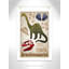 Adhésif décoratif dinosaures-03 '-47836230-47482871