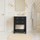 Cronin 24'' Single Bathroom Vanity