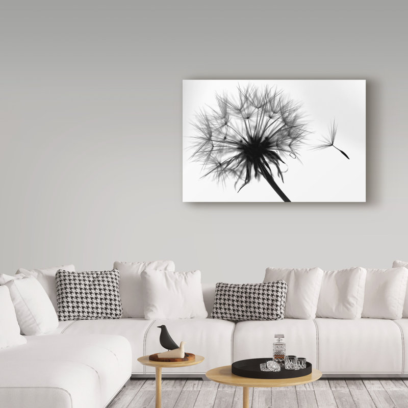 «L Let Go» par Beata Czyzowska Young, impression sur toile tendue, H 30 po x l 47 po