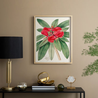 FloraOfTheTropicsIII Framed Print - Solid Wood