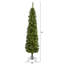 Lighted Artificial Christmas Tree-2048785686