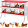 Boîte de nidification pour poulets, boîte à œufs avec support à 10 trous rouge, convient aux poulets et aux canards, grands trous de ventilation, pratique pour ramasser les œufs, entièrement galvanisée