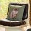 Aime Decorative Pillow-2134771590
