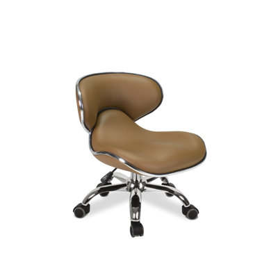 Waimes Backed Adjustable Height Ergonomic Lab Stool