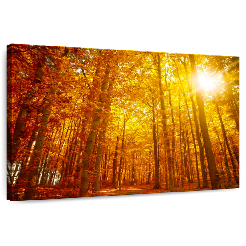 Alvord Dramatic Autumn Sunlight, H 20 po x l 30 po
