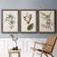 Pl. 160 Carolina Titmouse - Ensemble de 3 peintures sur toile encadrées-476429139-476429148