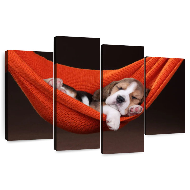 Brampt Beagle In Hammock, 27" H x 43" W