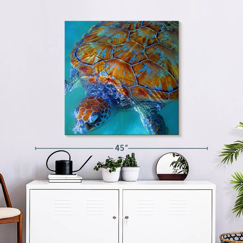 Tortue de mer Brampt Cayman, H 30 po x l 30 po