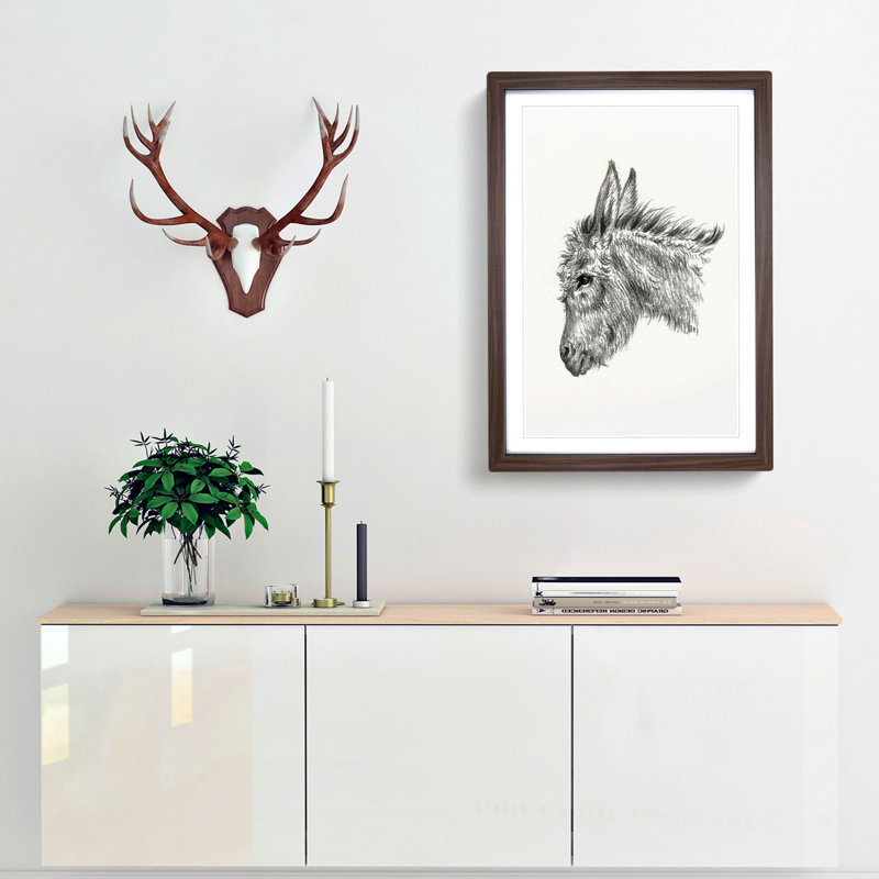 Head of a Donkey by Jean Bernard - Picture Frame Drawing Print, Walnut Framed, 36cm H x 27cm W x 2cm D