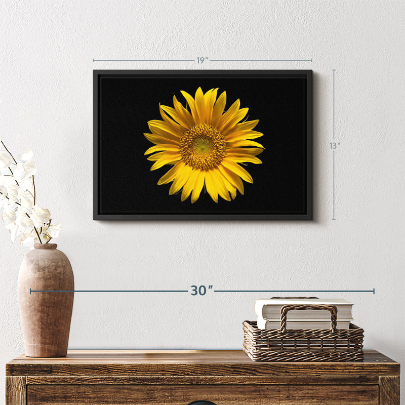 Tournesol sur toile noire, H 13 po x l 19 po