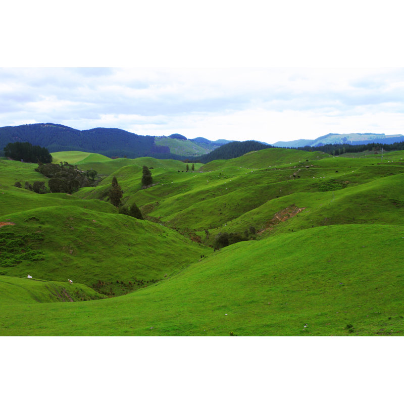 «Green Pastures» par Haveseen - photographie sur toile tendue, H 24 po x l 36 po