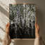 Lush Wisteria Cascades Print by Other Artist-1662041800-1662041807-1662041847