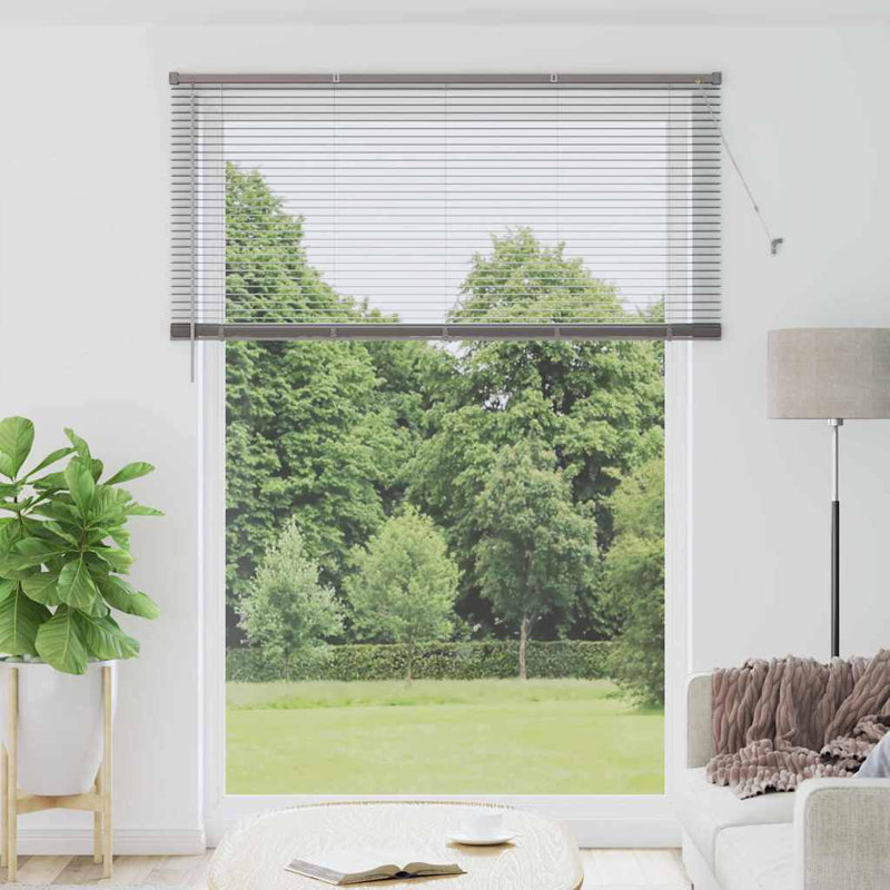 Horizontal/Venetian blind, Silver, 220cm L x 155cm W