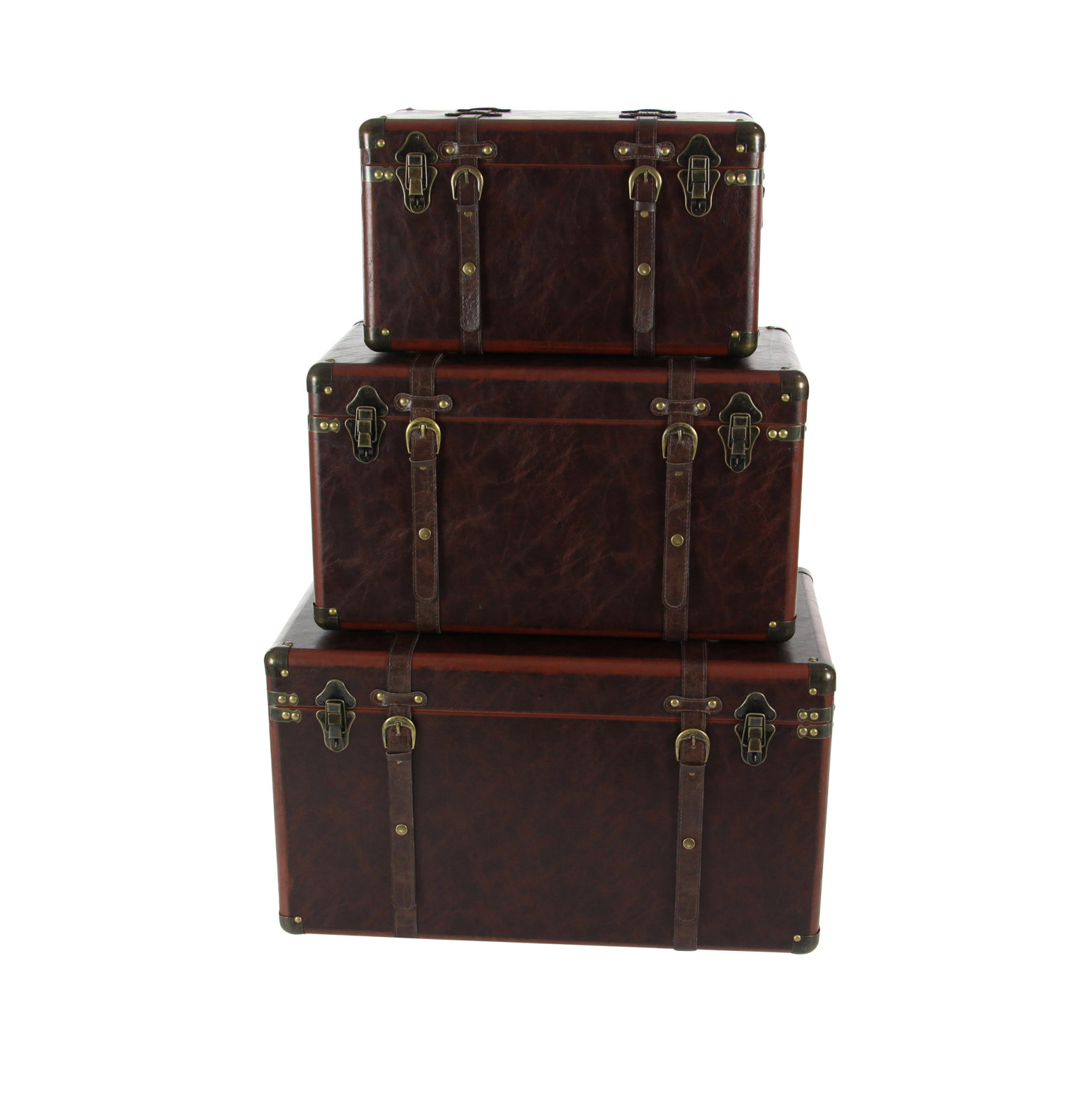 Bittinger 3-Piece Leather Trunk Set