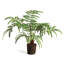Georgia Faux Fern Plant-168745442