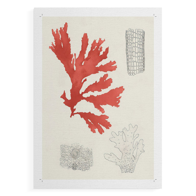 Étude de corail rétro III - impression sur toile seulement - non encadrée, H 27 po x l 18 po
