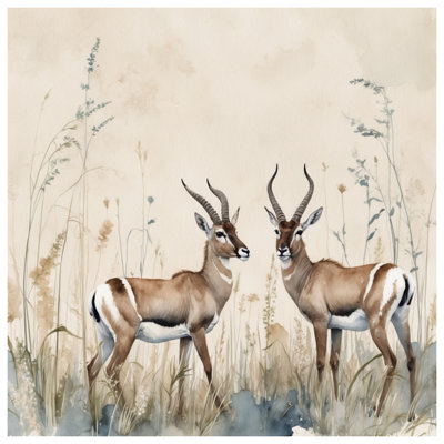 Édredon deux gazelles dans l'herbe