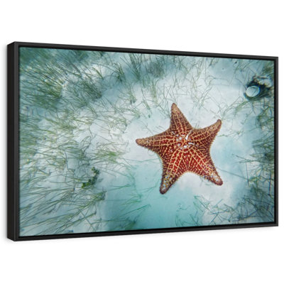 Shallows Starfish Canvas Print