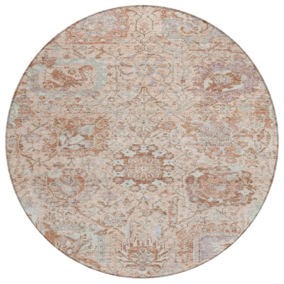 Segin Machine Washable Indoor/Outdoor Rug