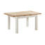 Aemon Butterfly Extension Table-124584756