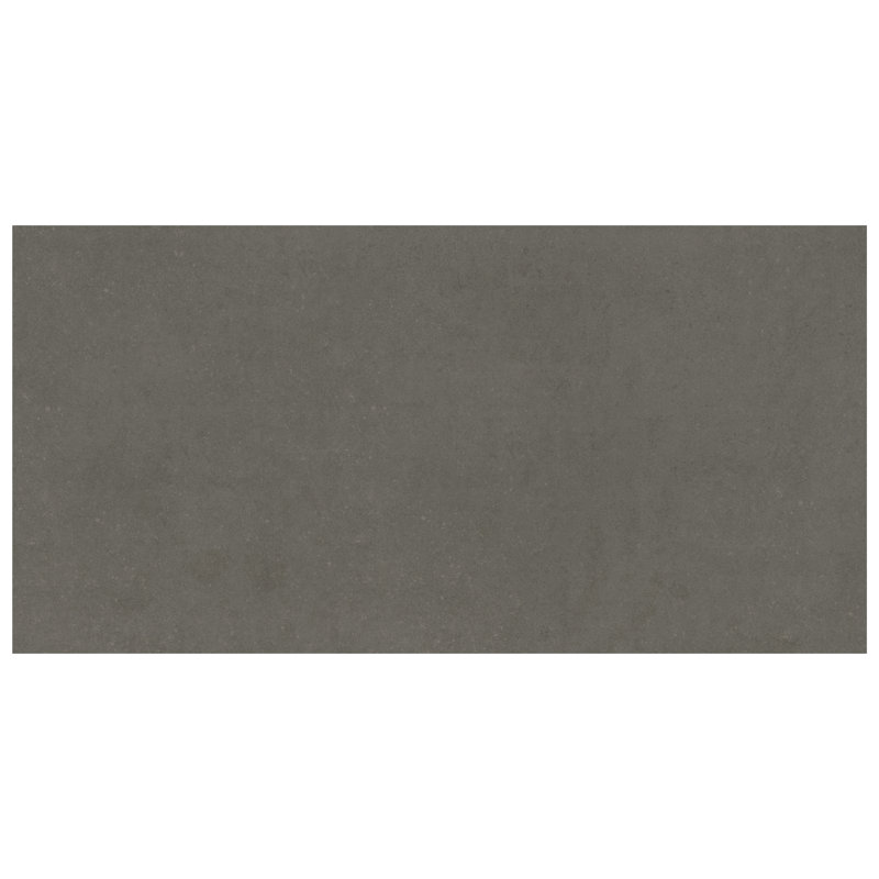 Ackland Betonica Cemento 24 in. x 48 in. Matte Porcelain Concrete Look Floor and Wall Tile, Cemento