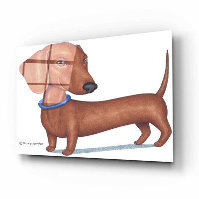 " Brown Dachshund Blue Collar "