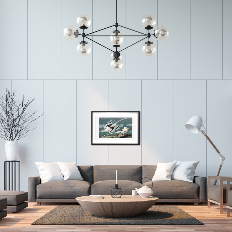 Nature Inspired Tropic Bird From Birds Of America (1827), 16" H x 24" W