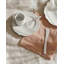 Dressed Stainless Steel Coffee Spoon