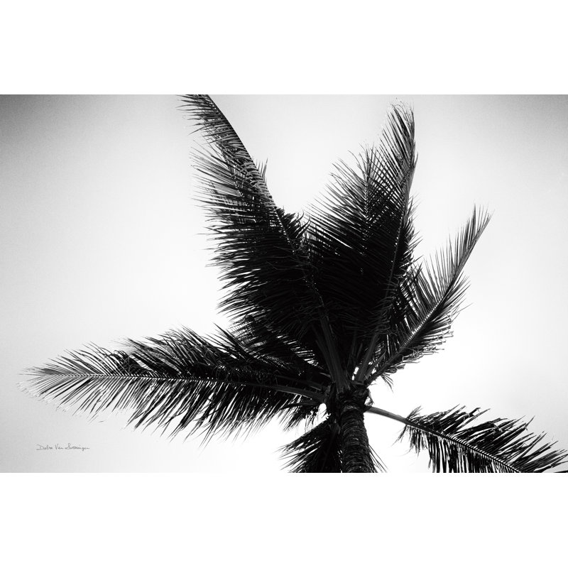 Reproduction de photo sur toile, "Palm Tree Looking up IV" par Debra Van Swearingen, H 20 po x l 30 po x P 1,25 po