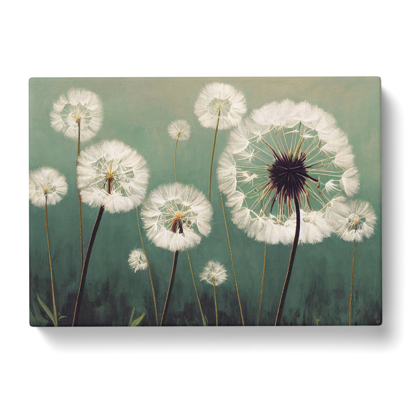 Entrancing Dandelion Flowers - Wrapped Canvas, 50cm H x 76cm W x 3cm D