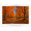 Autumn Forest Wall Mural, Peel and Stick Self Adhesive Wallpaper, Original Fall Woodland Path Artwork, Satin Finish Removable Wall Decor for Living Room and Bedroom, 65"W x 96"H-1112193151