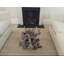 Keynot Solid Coffee Table-17840403-30913037