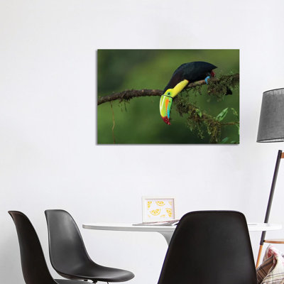 The Colours Of Costa Rica by Fabio Ferretto - Wrapped Canvas Print