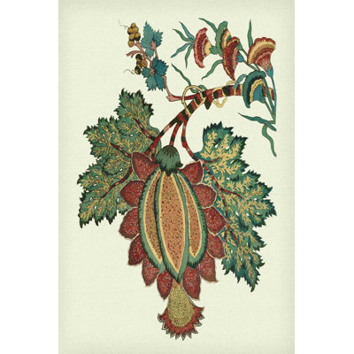 Floral jacobin II