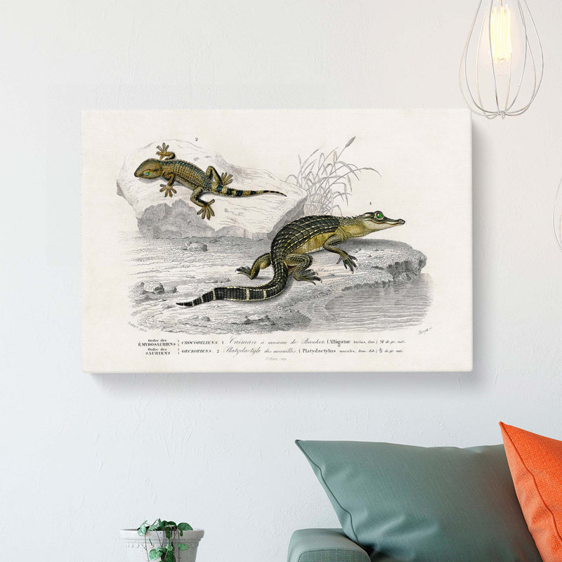 Alligator and Lizard Illustration - Wrapped Canvas, 40cm H x 60cm W x 3cm D