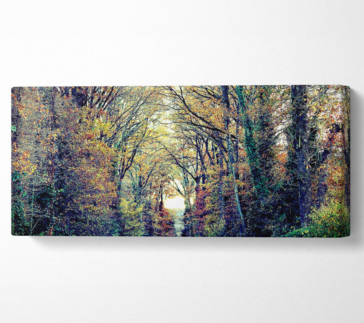 Union Rustic Just Trees Panoramic Canvas | Wayfair.co.uk