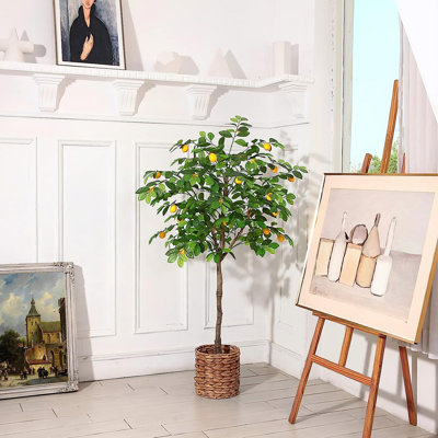 6,4 plante