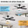 Damecia 42'' 5 Blade Modern Ceiling Fan With Light and Remote Control