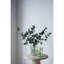 Vases décoratifs en verre vert S / 2