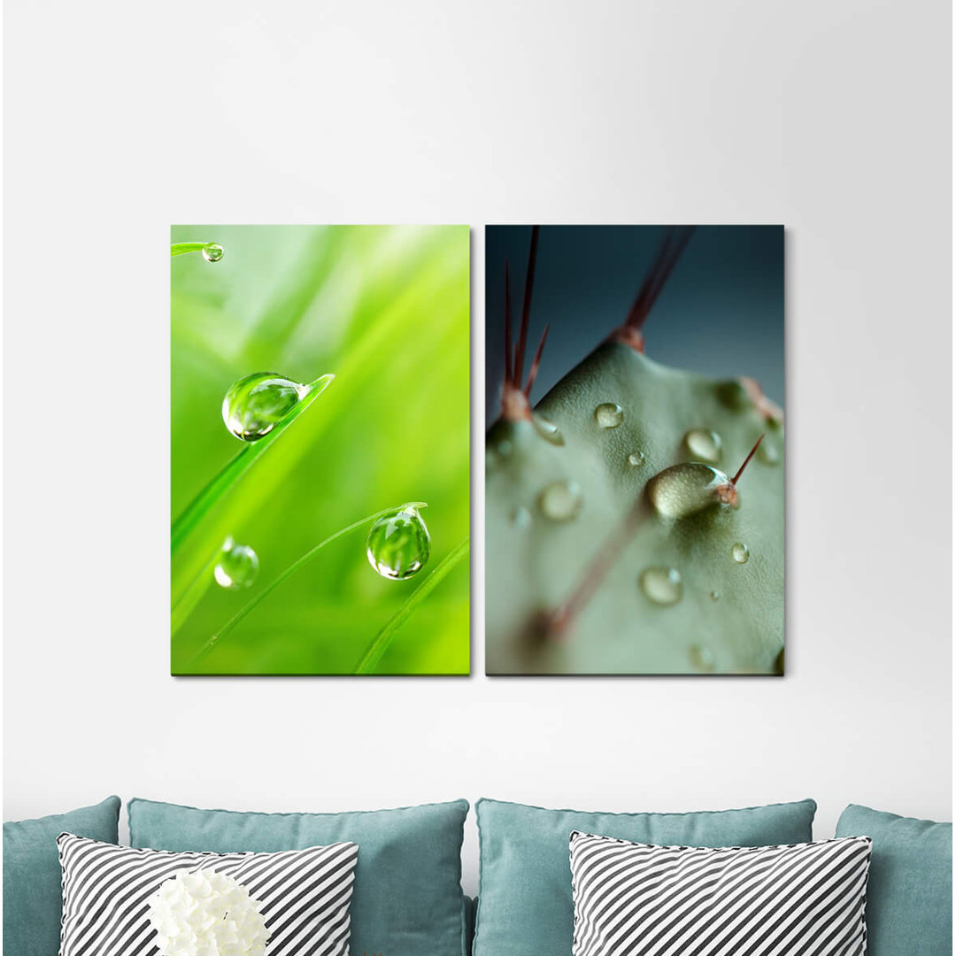 2-tlg. Leinwandbilder-Set - Grafikdruck „Grass Blades of Grass Water Drops Green Cactus Freshness”