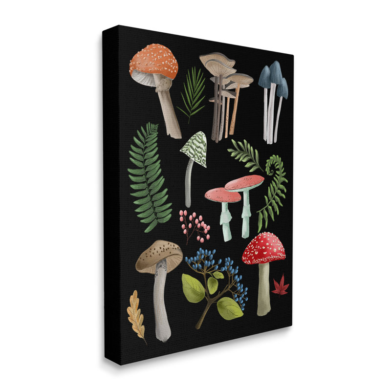 «Woodland Botanicals on Black», art mural par Regina Moore, H 30 po x l 24 po x P 1,5 po