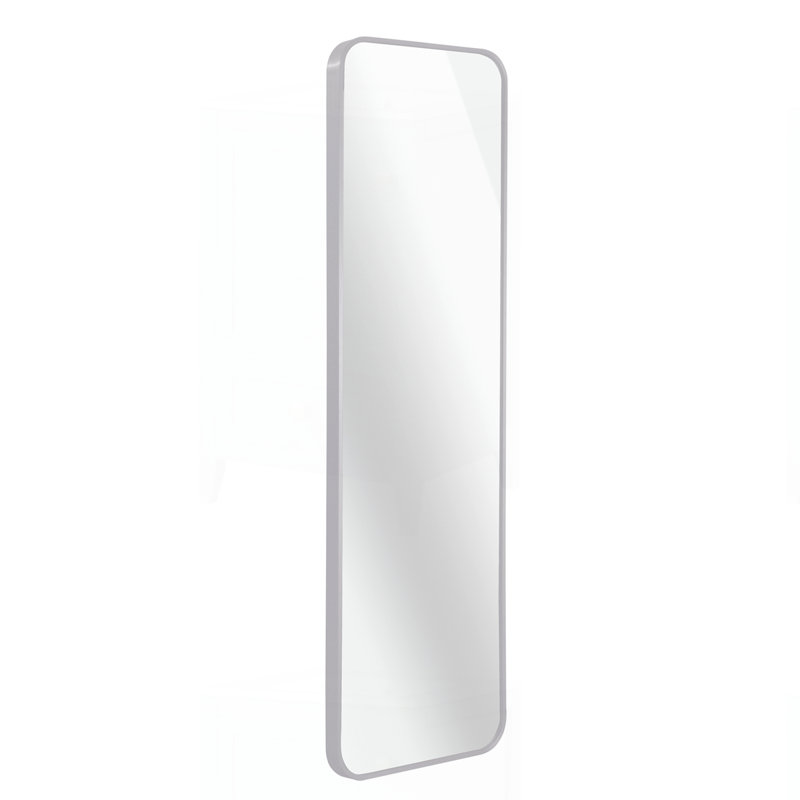 47 X 14IN Door Mirror, Silver