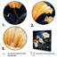 Starry Night Morning Glory Flower 4 - Morning Glory, art mural-229744121-229744122