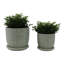  Plateau décoratif décoratif en céramique avec motif - Pots de fleurs d'intérieur élégants avec soucoupe pour patio, salon ou décoration intérieure - ensemble de 2, 8 po, 6 po, vert-1621862970