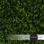 Haie artificielle-799063713
