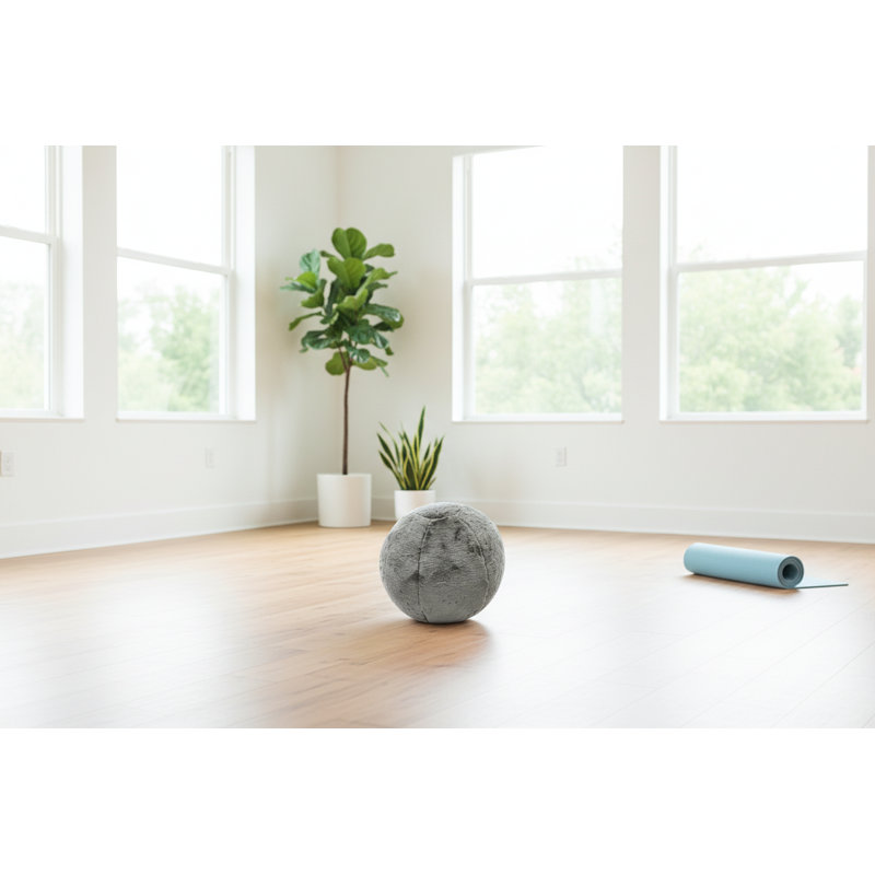 La balle d'équilibre en peluche, Gris