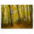 Toile tendue
