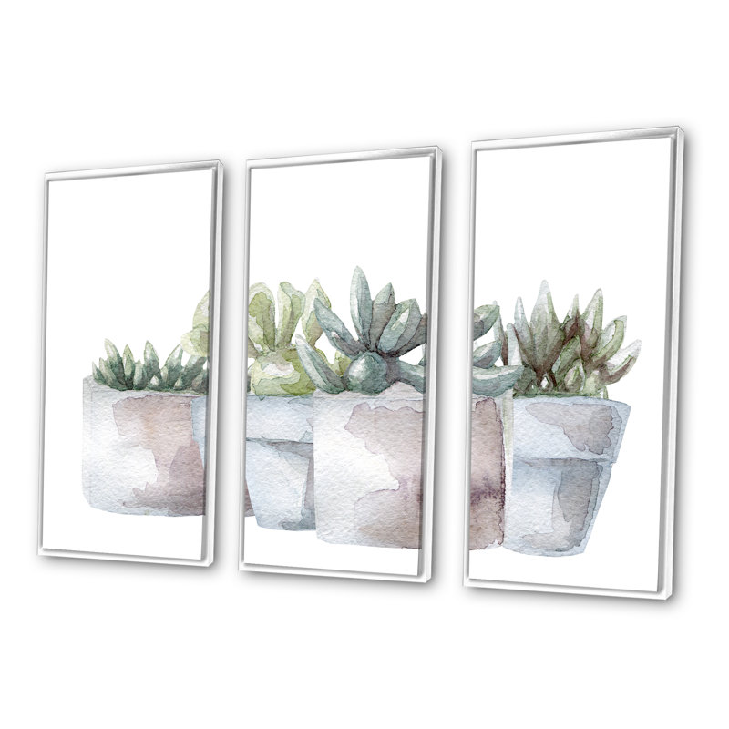 «Cactus and Succulent House Plants III», reproduction de cadre flottant sur toile 3 pièces, H 32 po x l 48 po x P 1 po