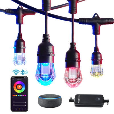 Nayara Outdoor 18 - Bulb 36'' Plug-in String Light
