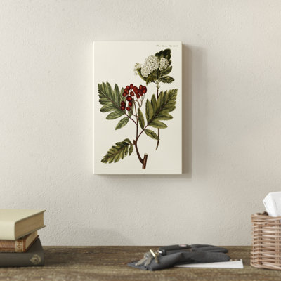 «The Hawthorne Tree» par Georg C. Oeder - peinture sur toile